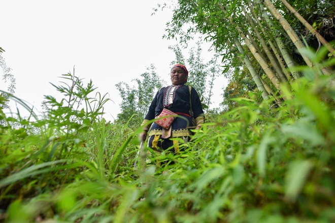 Băng rừng theo người Dao đỏ Sapa đi hái lá thuốc tắm thần dược - 18 Băng rừng theo người Dao đỏ Sapa đi hái lá thuốc tắm thần dược - 18