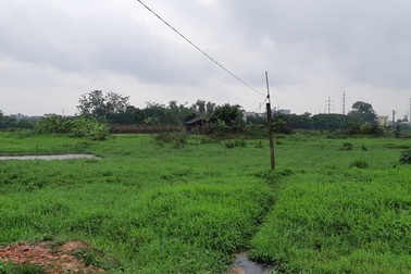 "Cò" săn mua đất nông nghiệp, nông dân Đông Anh đứng ngồi không yên