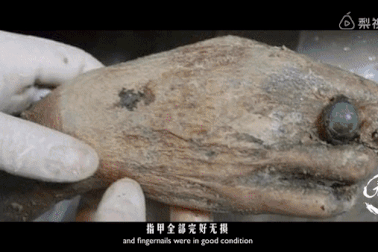 Thi thể chôn 500 năm vẫn nguyên vẹn nhờ dùng gạo nếp, lòng trắng trứng?