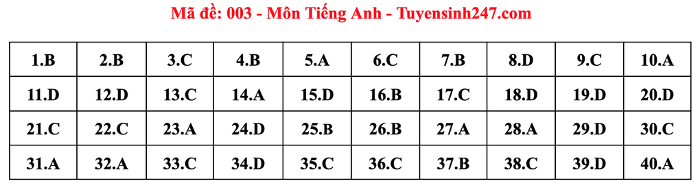 Gợi ý đáp án môn tiếng Anh thi vào lớp 10 năm 2025 của Hà Nội - 3 Gợi ý đáp án môn tiếng Anh thi vào lớp 10 năm 2025 của Hà Nội - 3