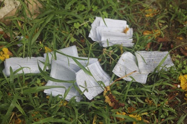 Thí sinh xả “phao” thi trước cổng trường