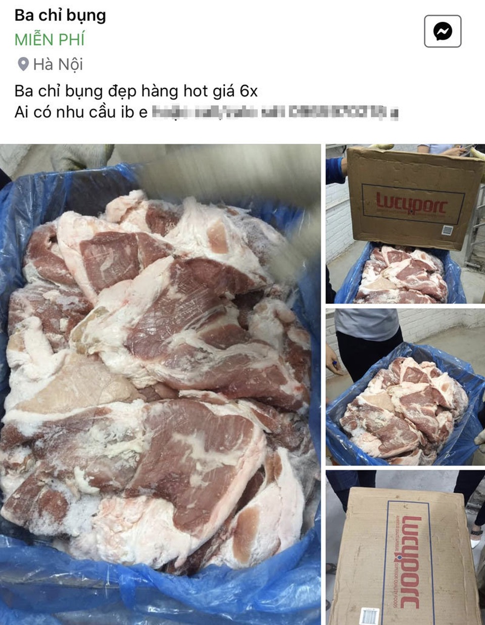 Thịt lợn rẻ giật mình 50 nghìn đồng/kg, chất đầy kho bán cả tấn - 1 Thịt lợn rẻ giật mình 50 nghìn đồng/kg, chất đầy kho bán cả tấn - 1