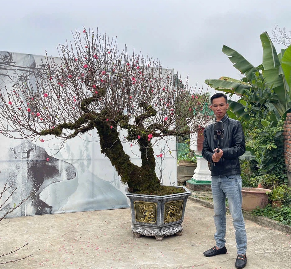 Giữa lúc đào Tết ế ẩm, nhiều tiểu thương lên sóng trực tiếp chốt đơn ầm ầm - 2