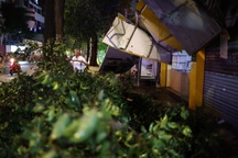 Nhánh cây gãy đè trúng nhà dân sau trận mưa lớn ở TPHCM
