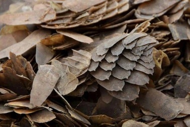 Lô hàng cấm hơn chục tỷ đồng trong ngăn bí mật trên xe tải