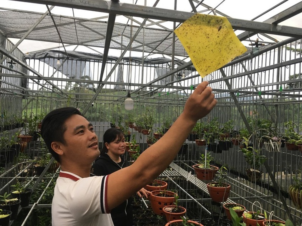 Bán cả tạ cà phê mua 1 cây lan rừng, sau 2 năm sở hữu cơ ngơi tiền tỷ - 3 Bán cả tạ cà phê mua 1 cây lan rừng, sau 2 năm sở hữu cơ ngơi tiền tỷ - 3