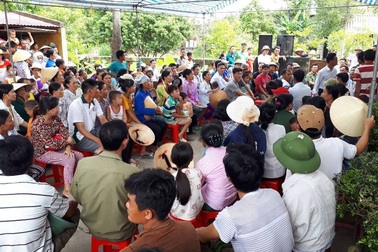 Tạm dừng việc sáp nhập trường