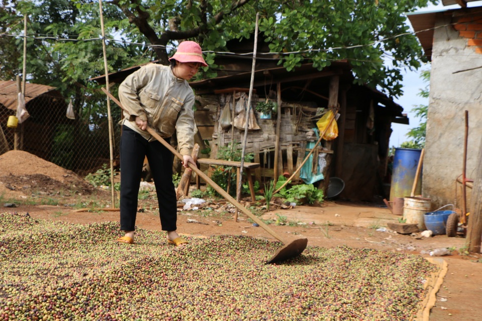 Người vợ bệnh tim chôn chặt nỗi đau mất chồng, nức nở xin con từ bỏ kỳ thi quốc gia - 7 Người vợ bệnh tim chôn chặt nỗi đau mất chồng, nức nở xin con từ bỏ kỳ thi quốc gia - 7