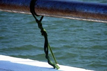 Nam sinh viên treo cổ tự tử trên cầu