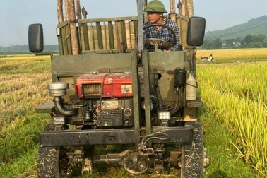 Tranh thủ vụ Đông Xuân, "người vận chuyển" kiếm tiền triệu mỗi ngày