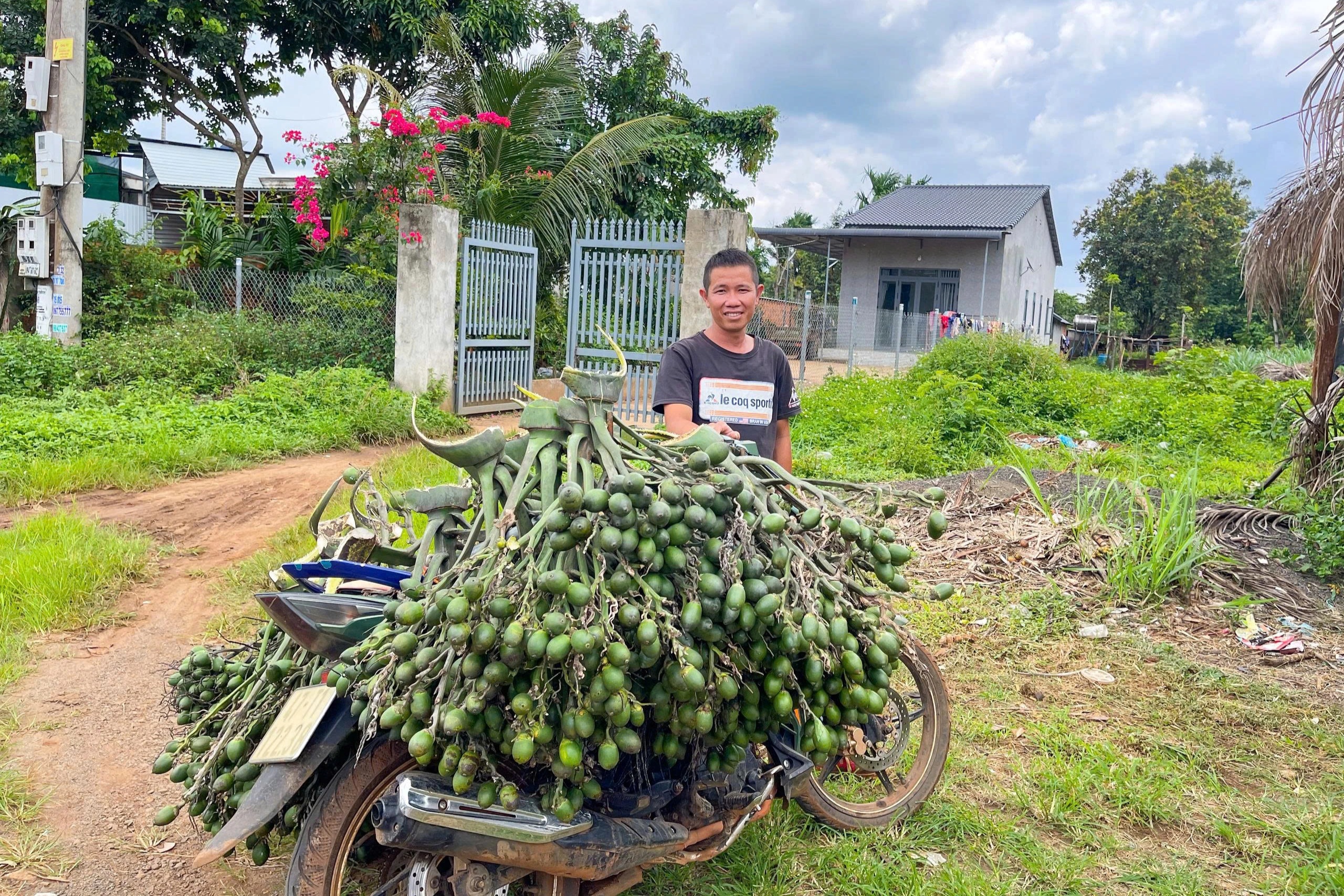Cây trồng chơi chơi mang lại thu nhập hàng trăm triệu đồng cho nông dân - 1