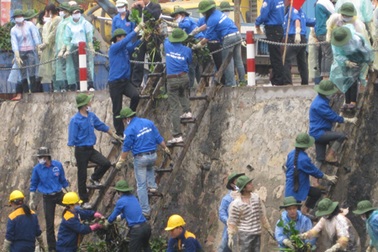Những bạn trẻ tình nguyện thắp lửa trái tim