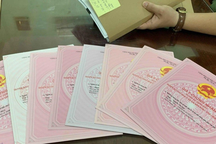 Bắt Giám đốc văn phòng đăng ký quyền sử dụng đất huyện