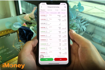 iMoney: Chứng chỉ quỹ là gì, lãi suất giảm thì có nên đầu tư chứng chỉ quỹ?