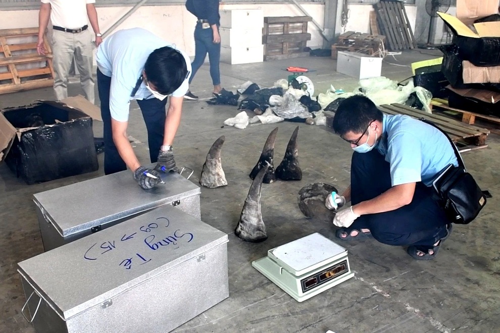 Hàng tấn sừng và xương nghi động vật hoang dã chuyển về từ Nam Phi - 2 Hàng tấn sừng và xương nghi động vật hoang dã chuyển về từ Nam Phi - 2
