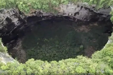 Bất ngờ phát hiện hố sụt khổng lồ chứa cả rừng cây cổ thụ nằm dưới đáy