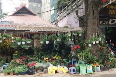 Chợ hoa xưa và nay của người Kẻ Bưởi