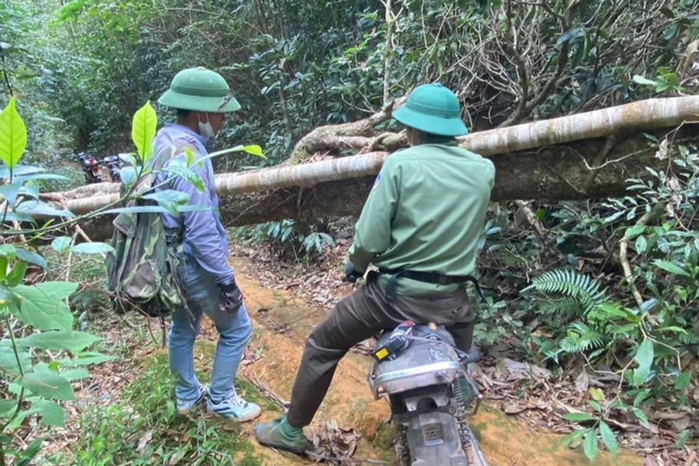 Những người trèo đèo, lội suối, ăn cơm nắm muối vừng giữa rừng ngày Tết - 1 Những người trèo đèo, lội suối, ăn cơm nắm muối vừng giữa rừng ngày Tết - 1