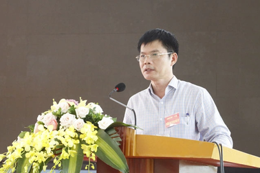 Có biểu hiện buông lỏng, đùn đẩy trong xử lý vi phạm đê điều