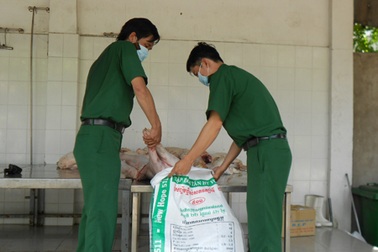 Xe khách từng chở hơn 1 tấn heo thối bị bắt tiếp tục vi phạm