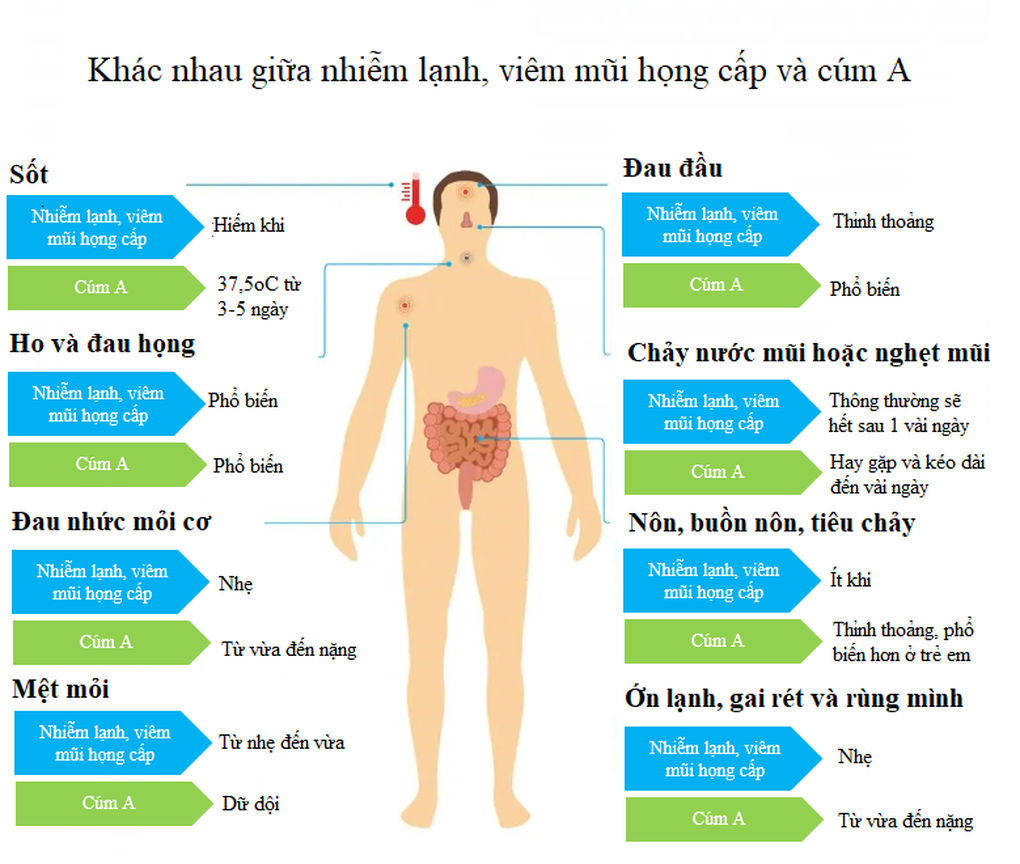 Cúm A và viêm mũi họng cấp - phân biệt như thế nào? - 2 Cúm A và viêm mũi họng cấp - phân biệt như thế nào? - 2
