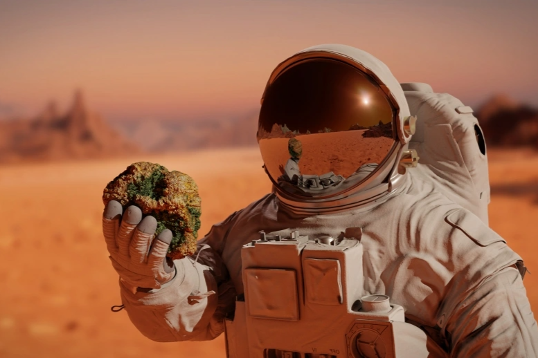 SpaceX heeft Starship-raket succesvol gelanceerd na 2 mislukte pogingen - 3 SpaceX phóng thành công tên lửa Starship sau 2 lần thử thất bại - 3