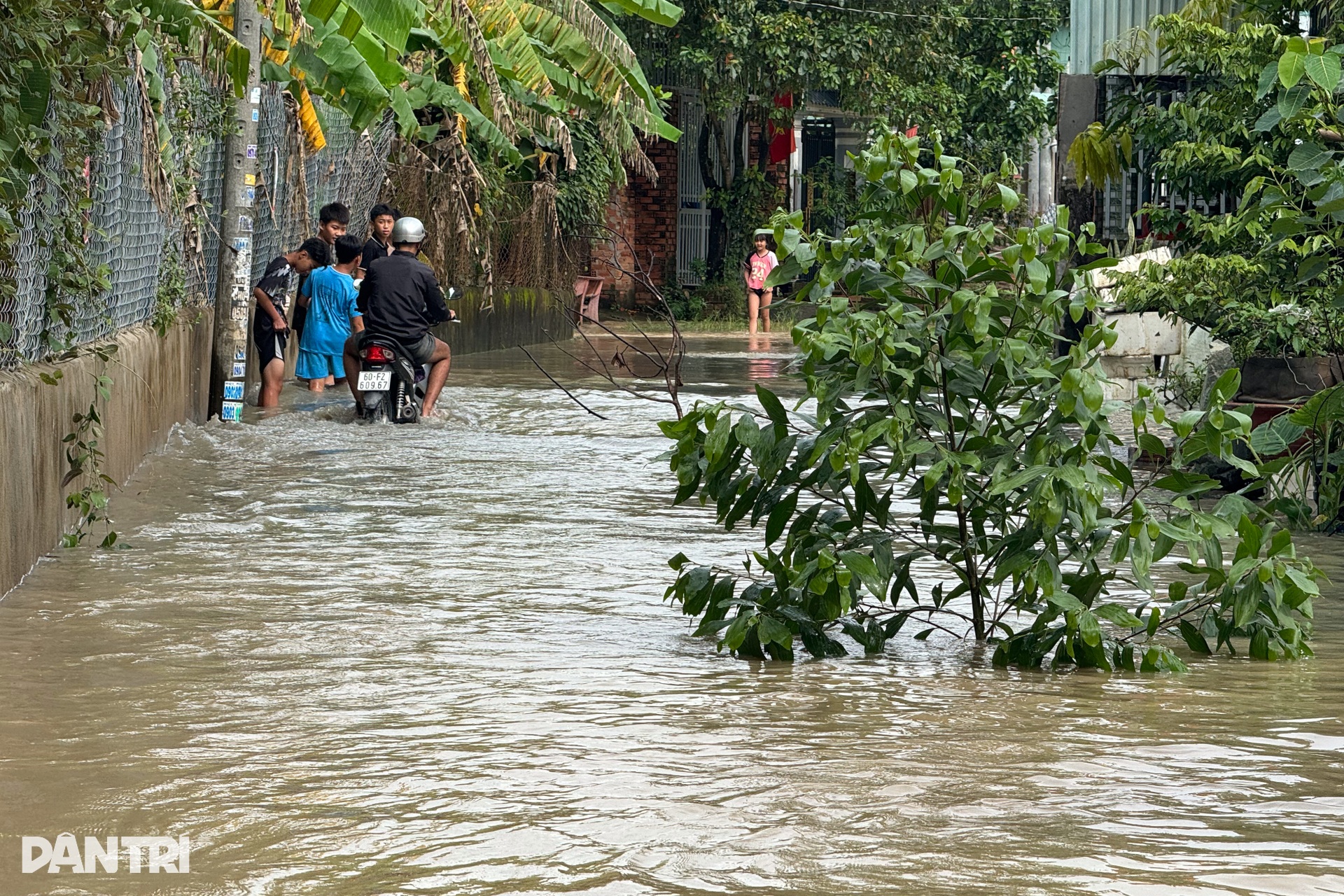 Mưa từ sáng đến chiều, nhiều đường ở trung tâm Đồng Nai ngập sâu - 10 Mưa từ sáng đến chiều, nhiều đường ở trung tâm Đồng Nai ngập sâu - 10