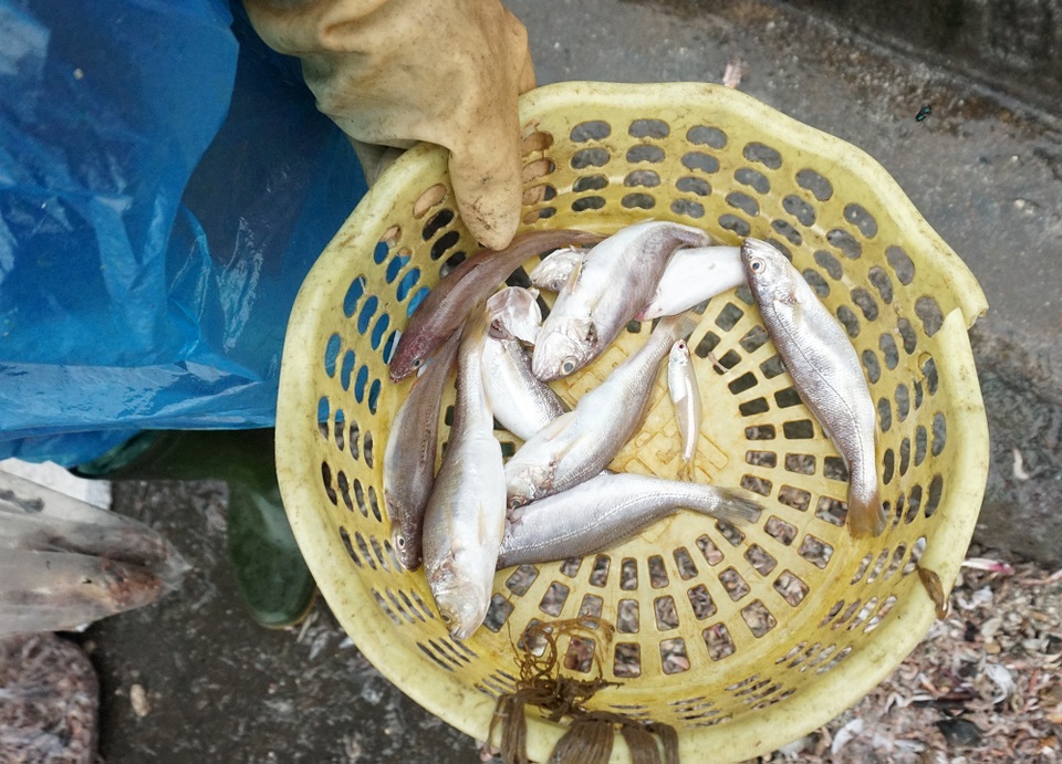 Phận già đãi vàng nơi cửa biển - 3 Phận già đãi vàng nơi cửa biển - 3