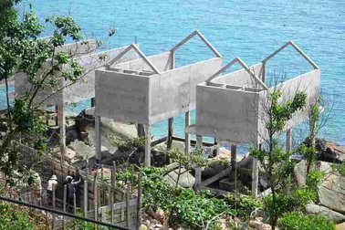 Bình Định: Thanh tra “sờ gáy” 2 khu nghỉ dưỡng ven biển thi công vi phạm