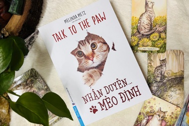 "Nhân duyên Mèo định" - hãy yêu thương nhau khi cuộc đời quá ngắn