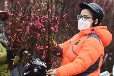 Chốt lịch nghỉ Tết Nguyên đán 7 ngày