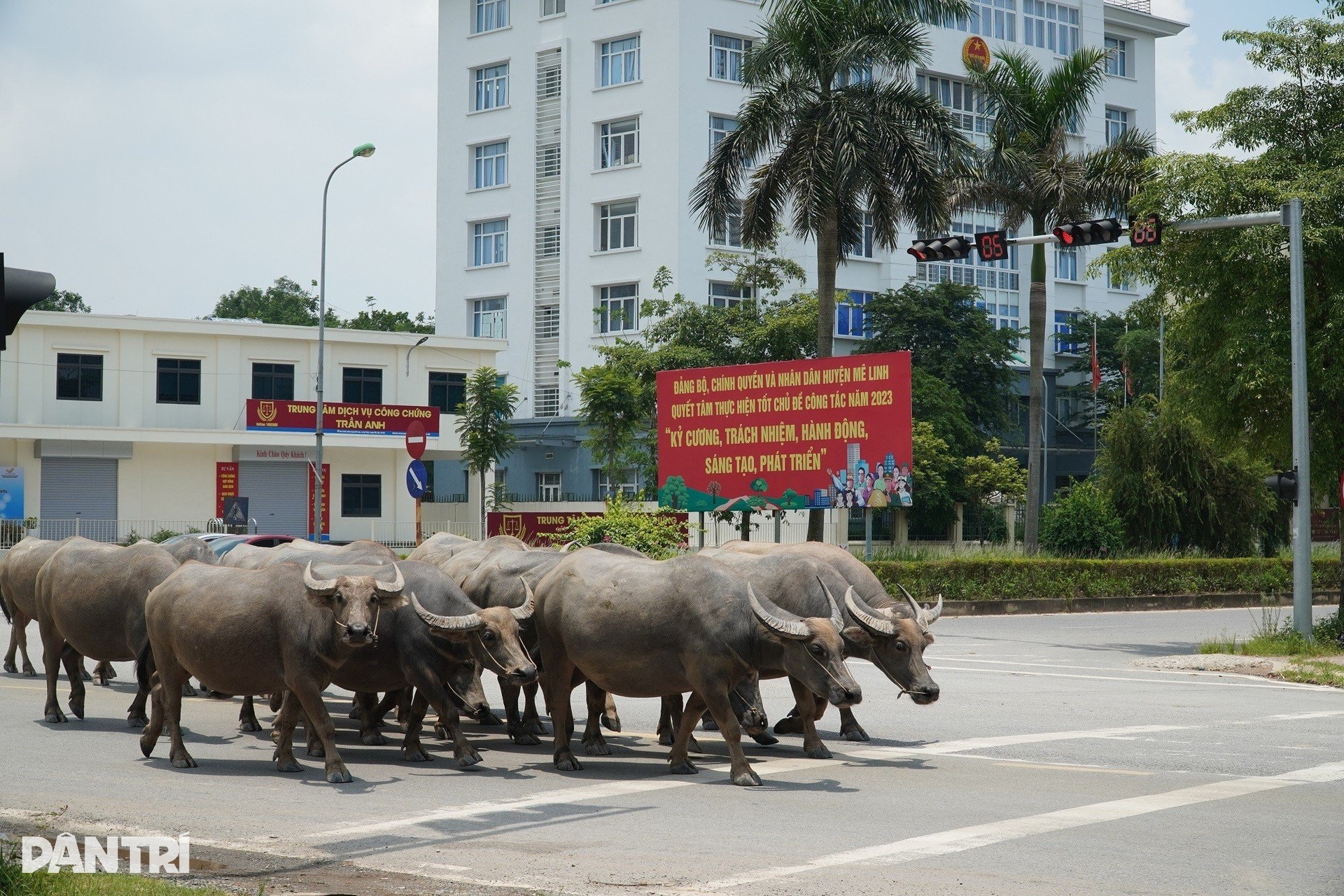 Hiện trạng 2 thành phố tương lai bao quanh nội đô Hà Nội - 15 Hiện trạng 2 thành phố tương lai bao quanh nội đô Hà Nội - 15