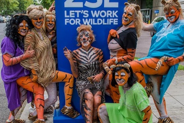 Khỏa thân xuống đường để… bảo vệ hổ