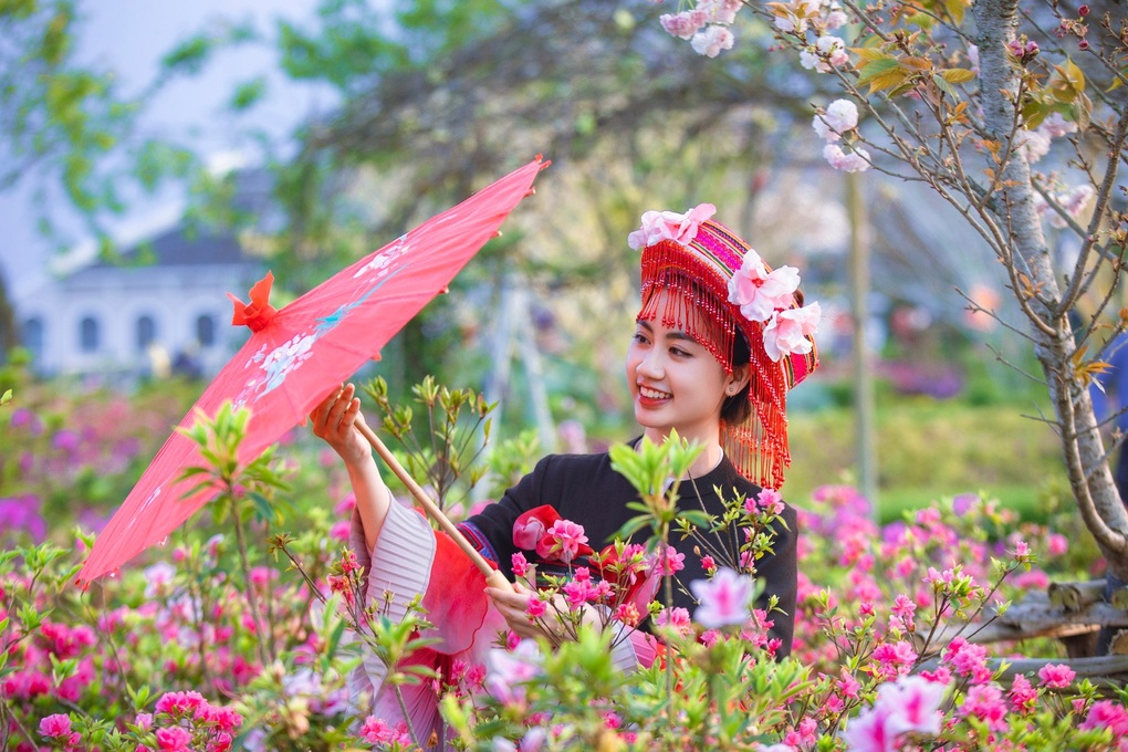 Kỷ niệm 120 năm du lịch Sa Pa: Giảm giá vé, tung ưu đãi khủng - 2 Kỷ niệm 120 năm du lịch Sa Pa: Giảm giá vé, tung ưu đãi khủng - 2