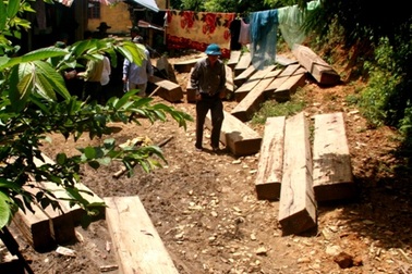 Đình chỉ công tác 3 cán bộ kiểm lâm vụ phá rừng Sông Tranh