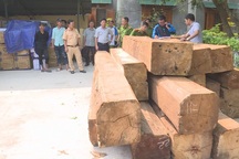 Truy đuổi xe chở gỗ lậu mang theo nhiều biển số giả
