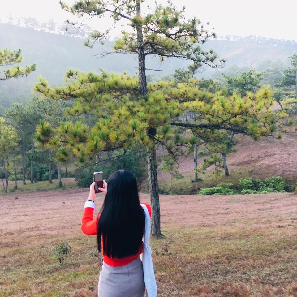 Đến Đà Lạt ngắm đồi cỏ hồng, khách vỡ mộng vì thực tế khác xa ảnh mạng - 3 Đến Đà Lạt ngắm đồi cỏ hồng, khách vỡ mộng vì thực tế khác xa ảnh mạng - 3