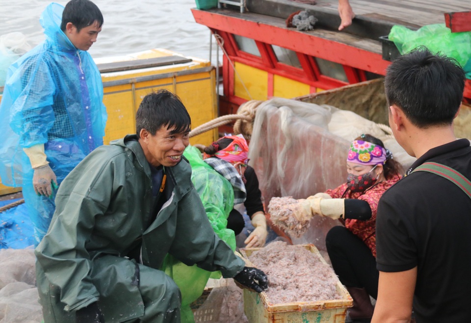 Trúng luồng ruốc, ngư dân kiếm triệu mỗi ngày - 2 Trúng luồng ruốc, ngư dân kiếm triệu mỗi ngày - 2