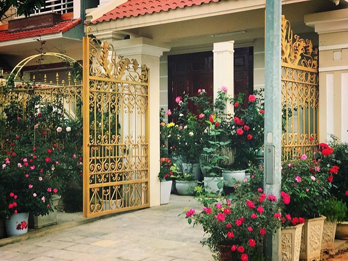 Tuy nhiên vì nhà không có đất trồng cây nên chị còn do dự. Chị quyết định lên mạng xã hội để tìm kiếm thông tin và biết được có thể trồng hồng bằng chậu sứ dù công chăm sóc đòi hỏi sự tỉ mỉ hơn, chị đã quyết tâm thực hiện.