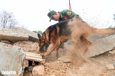 Chó nghiệp vụ được tuyển chọn, huấn luyện như thế nào?