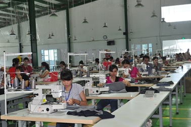 Nghệ An: Một công ty nợ bảo hiểm bị khởi kiện ra tòa án