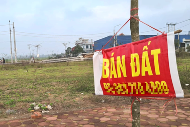 Nhà đầu tư khởi động kế hoạch "bắt đáy" bất động sản