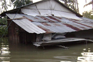 Ngủ đứng vì... triều cường