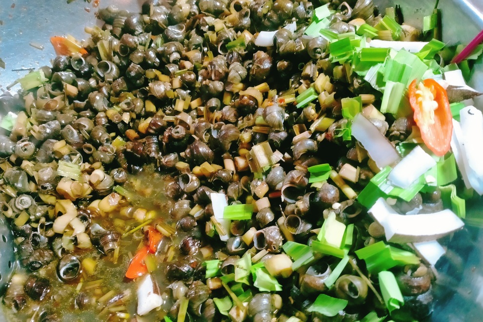 Nhớ thương ốc hút Đà Nẵng cay nồng dịp giao mùa - 4 Nhớ thương ốc hút Đà Nẵng cay nồng dịp giao mùa - 4