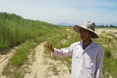 ​Đoạn bờ sông Thu Bồn bị sạt lở nặng