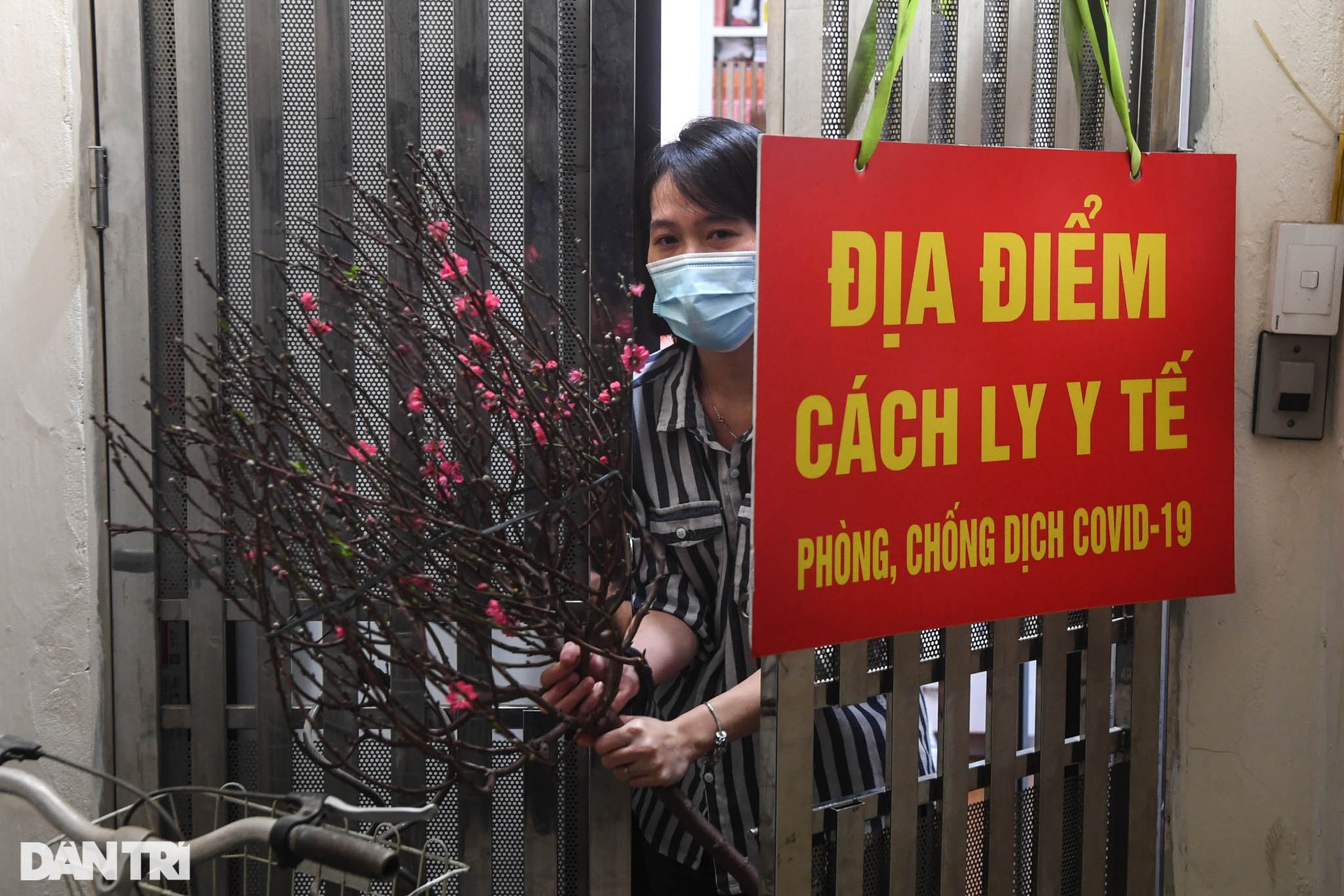 Tặng đào Tết tận nhà, thả cá chép thay cho các F0 đang cách ly ở Hà Nội - 5 Tặng đào Tết tận nhà, thả cá chép thay cho các F0 đang cách ly ở Hà Nội - 5