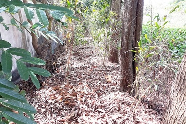 Vụ 300 thai nhi chôn tại bãi rác: Khai quật 2 vị trí để xác định thực tế