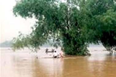 Lũ quét cô lập huyện Văn Chấn 