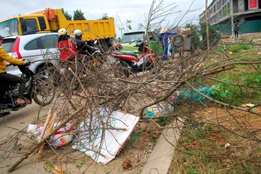 Lào Cai: Hàng ngàn cành đào chợ hoa xuân thành củi đun