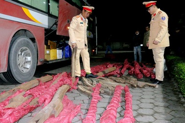 Phát hiện xe khách chở gần 1 tấn gỗ quý